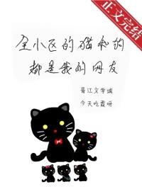 我的情妇小娇妻