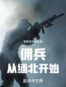 雪中悍刀行
